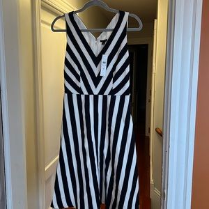 NWT Ann Taylor navy and white nautical dress